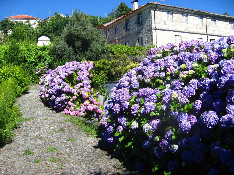 Casa De Carcavelos Cabeceiras de Basto Eksteriør billede